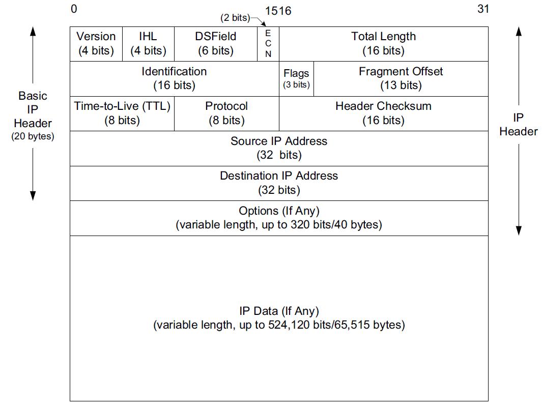 The IPv4 Datagram