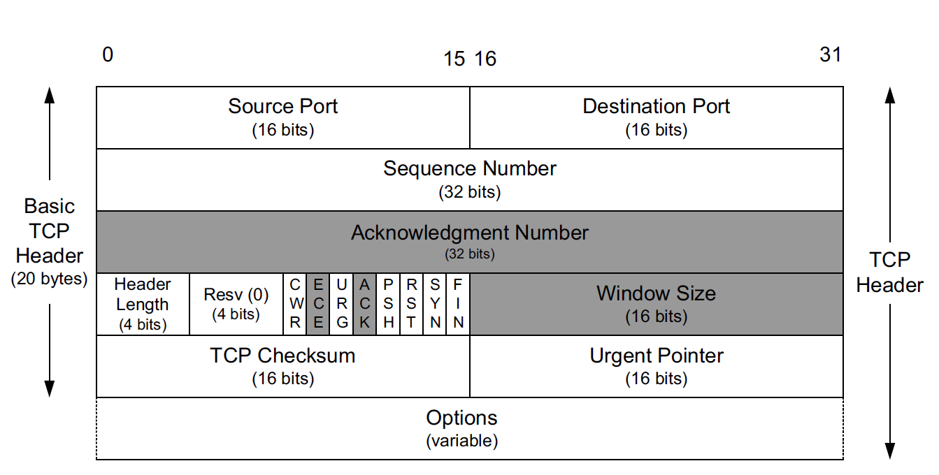 TCP Header